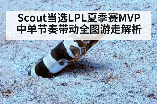 Scout当选LPL夏季赛MVP 中单节奏带动全图游走解析